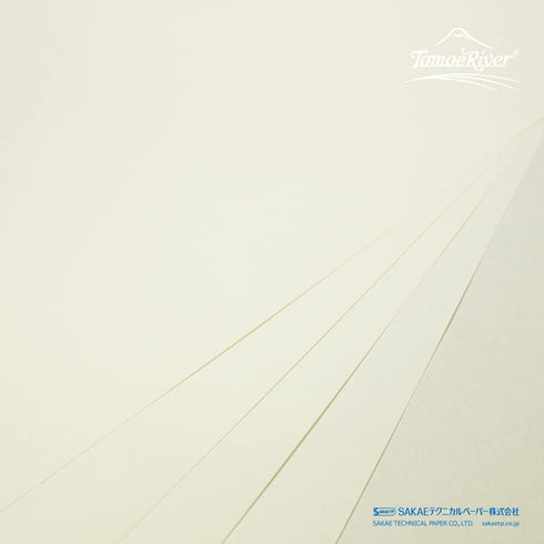 Tomoe River Paper - Loose leaf - 100 Sheets - A4 - Cream